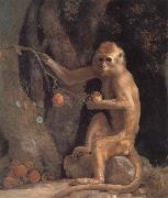 George Stubbs Monkey oil painting reproduction